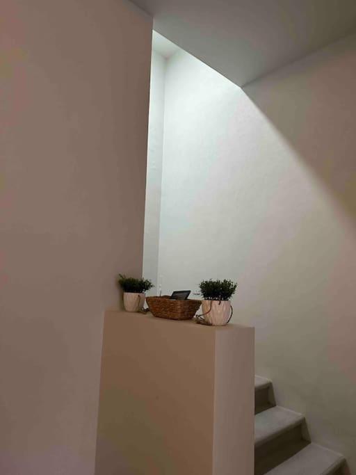 Casa Privada En Villa Bricia Cuernavaca Exteriör bild